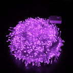 Purple / 300 Light
