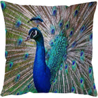 Peacock / 45x45cm